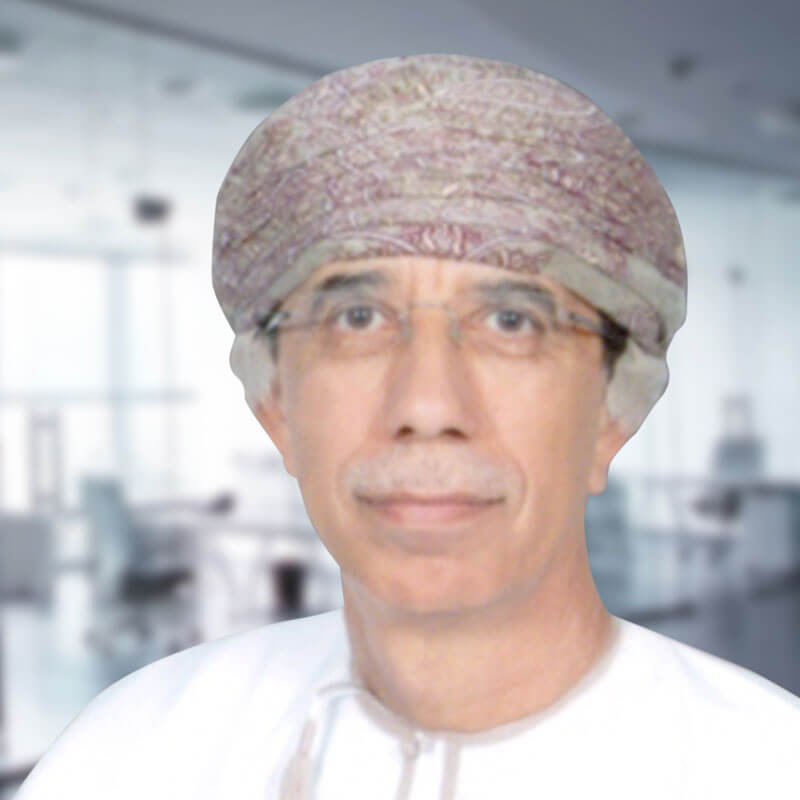 HE Said bin Hamdoon Al Harthy